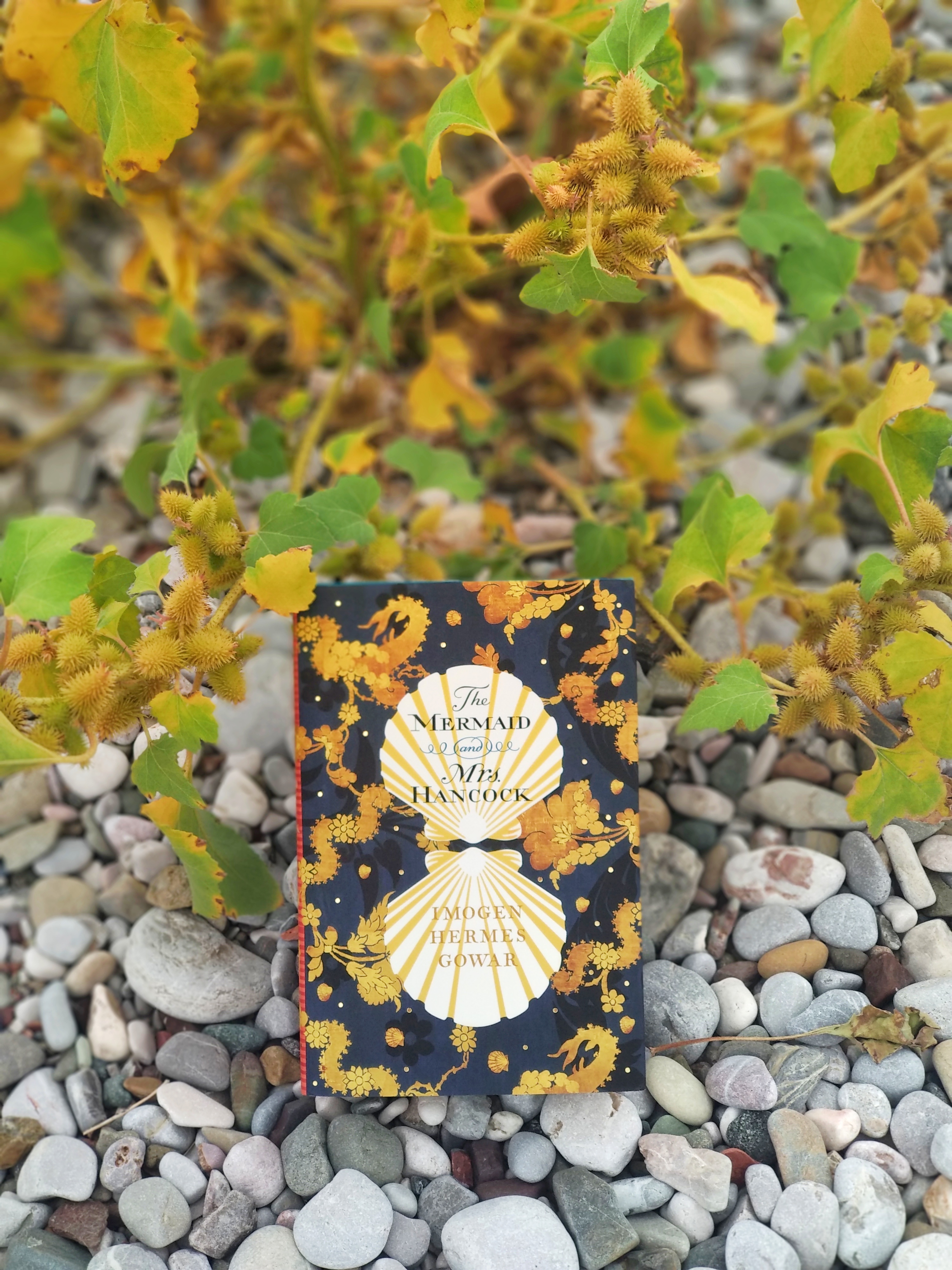 The book in the bush on the beach