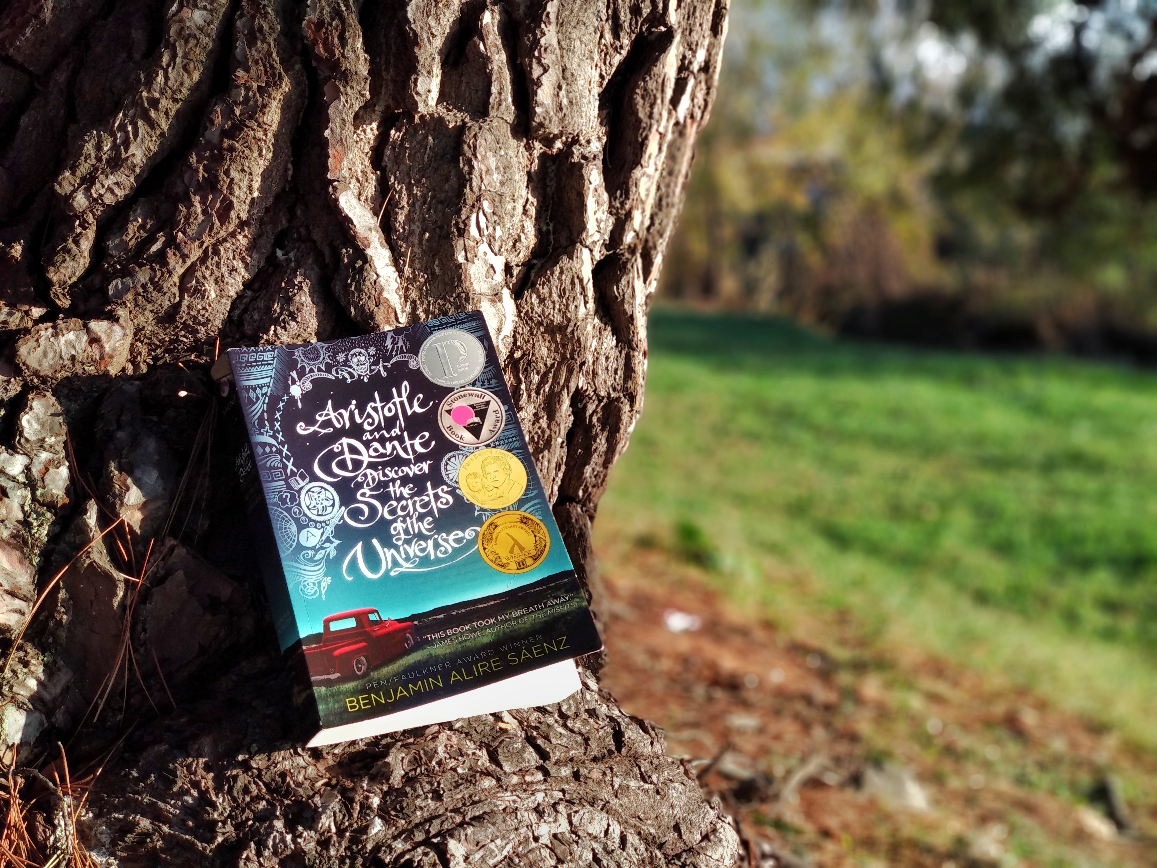 the book near a tree